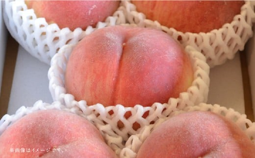 【フルーツ3回定期便】 球磨のいちご1kg×4パック+桃1kg