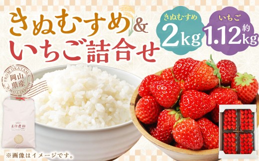 【令和7年産】新米・精米 きぬむすめ2㎏&いちご詰合せ（約280g×4パック） 【2026年1月上旬から5月上旬頃発送予定】 いちご お米 白米 セット 冷蔵 岡山県 美咲町