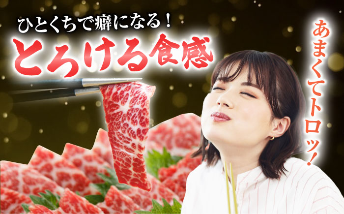 【3回定期便】【数量限定】特選霜降り馬刺し 大トロ中トロ2種食べ比べセット　計600ｇ（各300g）【山鹿食品企画】 [ZBO060]