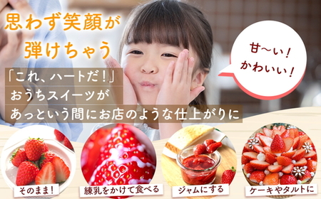 ベテラン農家のこだわりの逸品！とちあいか 4パック｜いちご イチゴ 苺 フルーツ 果物 産地直送 期間限定 季節限定 栃木県 芳賀町 ※2025年12月中旬～2026年3月下旬頃に順次発送予定