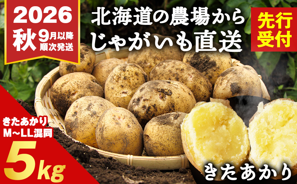 【2026年 秋 発送】積丹町産 きたあかり 5kg 数量限定 期間限定 じゃがいも 北海道 ジャガイモ 芋 いも