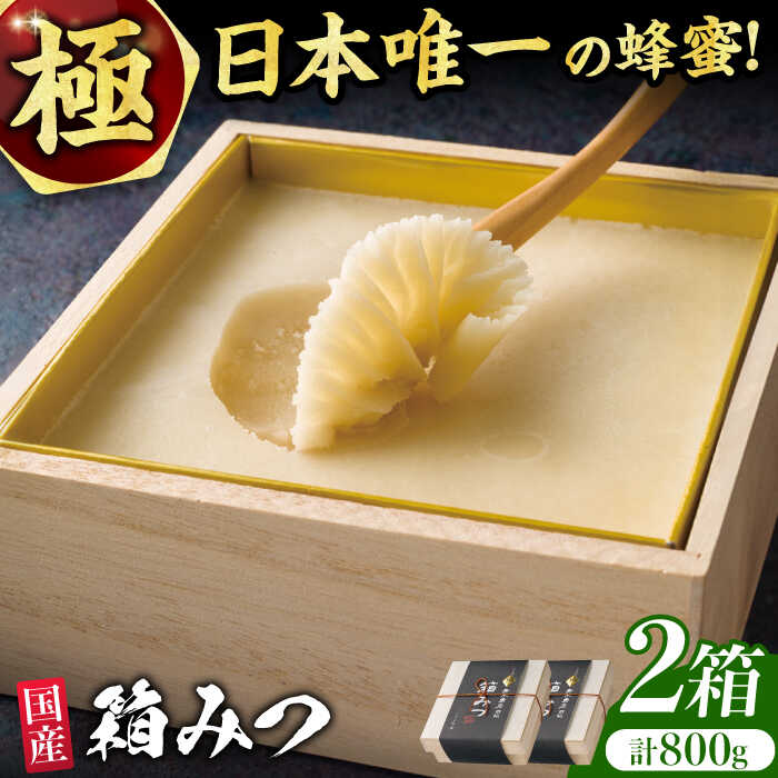 【ふるさと納税】【先行受付 令和7年12月より発送】極箱みつ 2個セット 計800g (400g×2個)　広川町 / 株式会社九州蜂の子本舗[AFAI014]
