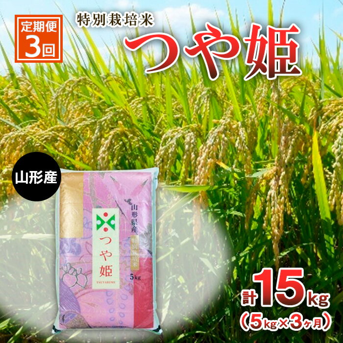 【ふるさと納税】【定期便3回】特別栽培米 つや姫 5kg×3ヶ月(計15kg) FZ23-748 山形 お取り寄せ 送料無料 ブランド米 山形市 山形県 精米