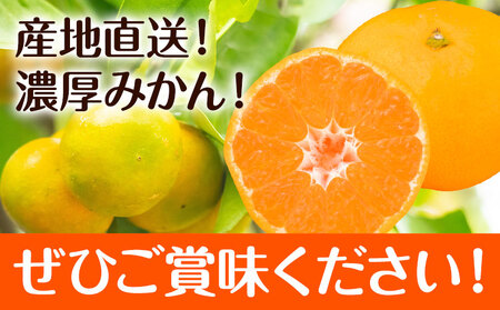 【先行予約】秀品 贈答用 宮川 早生 みかん 約 10kg (2S～2Lサイズ) みかん