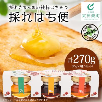 ふるさと納税 東神楽町 採れはち便　30g×3個入り×3　蜂蜜 はちみつ