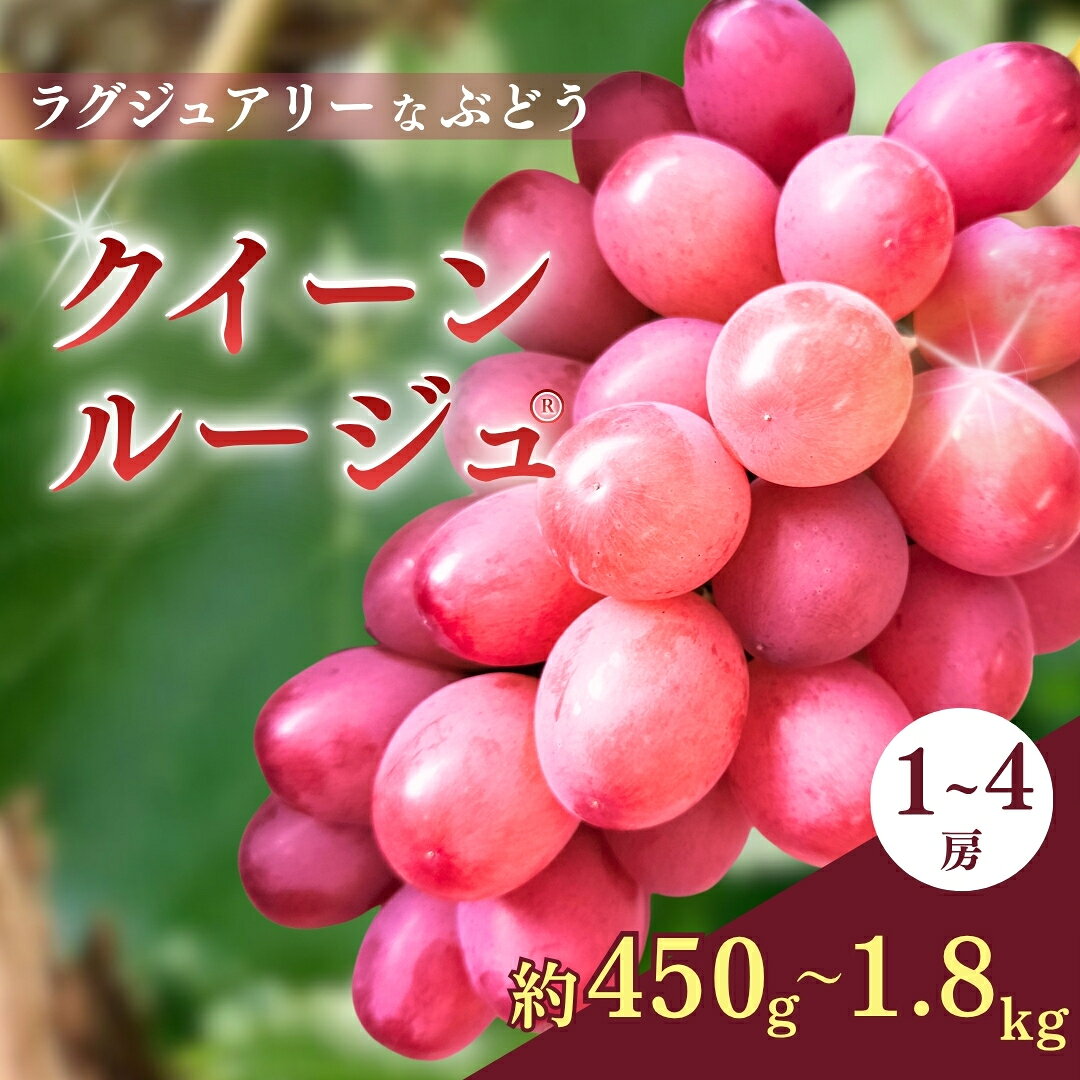 【ふるさと納税】ラグジュアリーなブドウ クイーンルージュ® 1~4房 (約450g~約1.8kg)【半蔵農園】| クイーンルージュ® くいーんるーじゅ 果物 フルーツ 赤ぶどう 葡萄 ブドウ 種無し 種なし 皮ごと 千曲市 長野県 信州