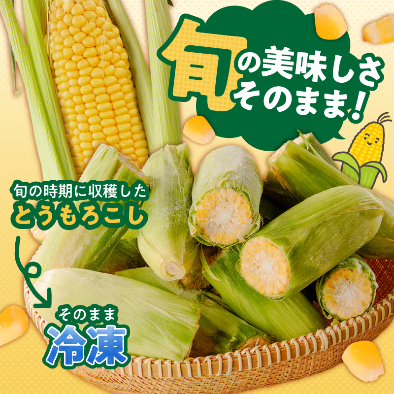 冷凍便！旬の時期に冷凍したSDGs米堆肥で作った博多あまっコーンカット品 4.5キロ以上（12～20本） _ 博多あまっコーン カット 4.5キロ以上 12 ～ 20本 カット品 とうもろこし 国産 