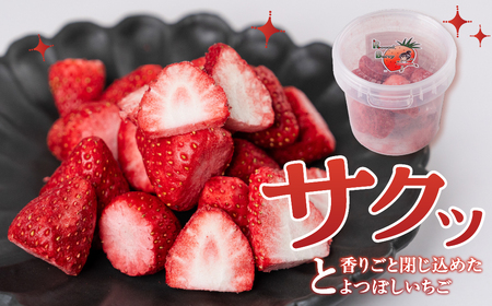 フリーズドライいちご よつぼし 苺 国産 豊橋産 甘い ヘルシー 健康 おやつ おいしい デザート 手軽 ヨーグルト や シリアル に アイスに添えて ビタミンC ポリフェノール 抗酸化 豊橋市 小分