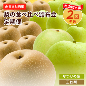 DS-23 梨食べ比べ定期便（2回コース）