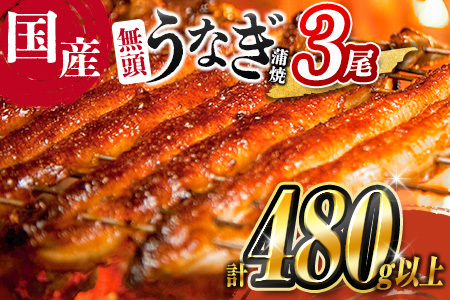 ＜2025年12月お届け＞高評価!! うなぎ 鰻楽 国産 蒲焼 3尾 人気 無頭 計480g以上 おすすめ 冷凍 簡単調理 個包装 鰻 魚介 贈答品 ギフト 贈り物【C444-2512】