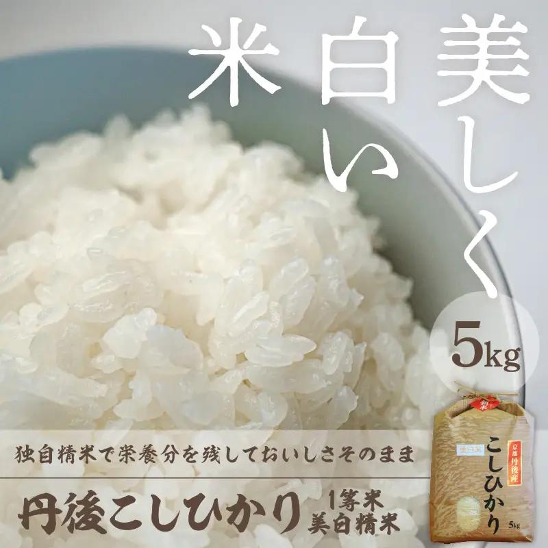 白米コシヒカリ 5kg 令和7年産コシヒカリ精米