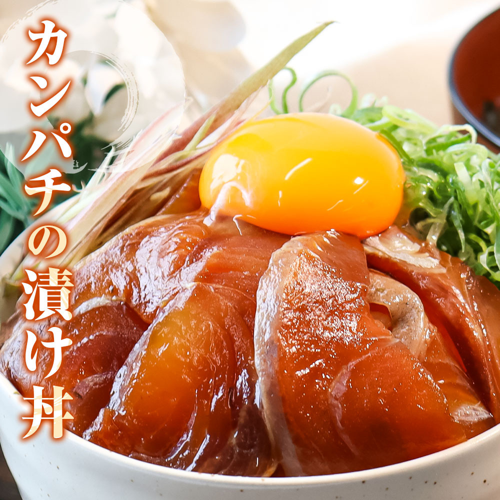 訳あり海鮮漬け丼（タイ6P・カンパチ4P）セット 漬け丼 漬け 鯛 かんぱち 勘八 白身魚 食べ比べ 海鮮 魚 冷凍 食品 保存食 小分け 高知 土佐 海鮮丼 漬け丼 ぶっかけ 鯛めし 惣菜 そうざい