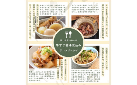 【レトルト食品】牛すじの醤油煮込み （150ｇ×20パック） レトルト 牛肉 おつまみ おかず