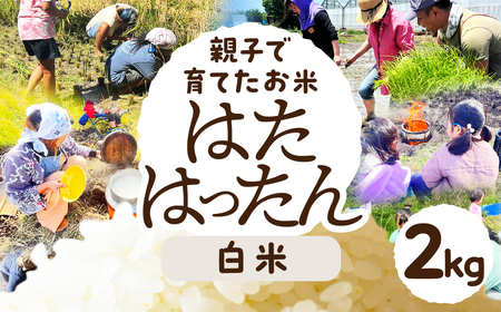 【白米２kg】お米 2kg 白米 お米 米 コメ こめ ご飯