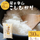 【ふるさと納税】【6カ月定期便】令和6年度新米 農薬不使用｜蛍の里山こしひかり（5kg） お米 コシヒカリ 米 こしひかり 新米