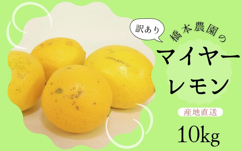 
            【先行予約】橋本農園の 訳あり マイヤーレモン 10kg【2024年12月初旬から2025年1月初旬までに順次発送】 / レモン マイヤーレモン 檸檬 先行予約 家庭用 ご家庭用
          