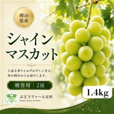 【ふるさと納税】【贈答用】岡山県産シャインマスカット　計1.4kg(2房)【配送不可地域：離島】【1779440】