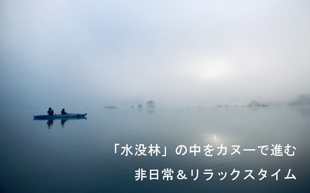 絶景 水没林カヌーツアー（1名様）癒しの自然満喫プレミアムアクティビティ 【フォトジェニックスポット】※3月下旬から5月下旬　