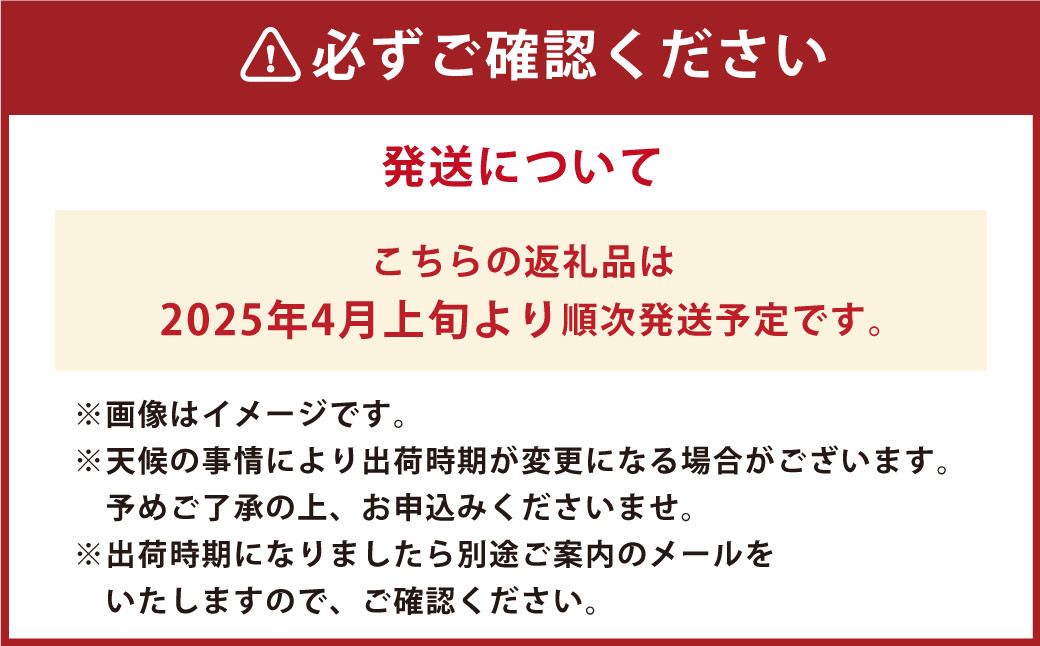 熊本県 合志産 大玉すいか (品種： 春のだんらん ) 2玉入 約10kg～12kg 