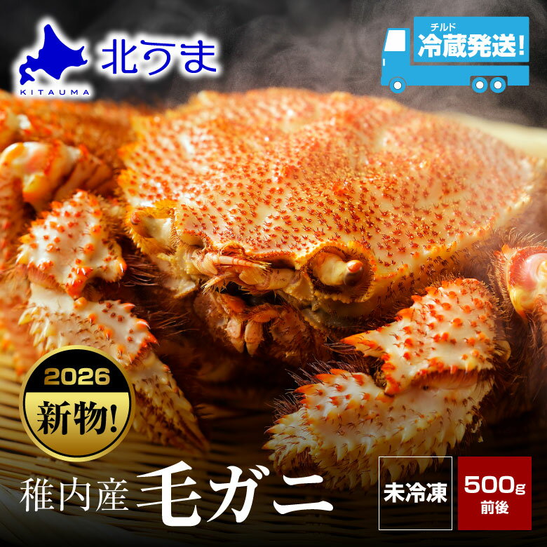 【ふるさと納税】【未冷凍、冷蔵発送! 2026年新物】極・稚内産毛ガニ500g～600g 浜茹でチルドボイル 毛がに 毛ガニ 毛蟹 ボイル 蟹 カニ 海鮮 海産物 北海道ふるさと納税 稚内 ふるさと納税 北海道 【配送不可地域：離島・沖縄県】