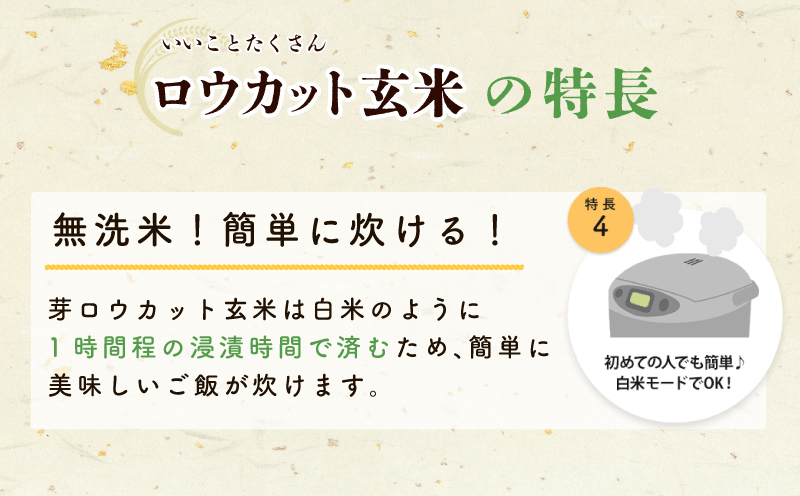金芽ロウカット玄米 4kg【東洋ライス 2kg×2P お米 米 こめ 国産 小分け】 099H202