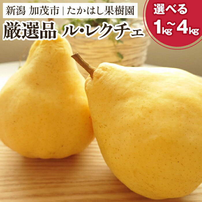 【ふるさと納税】 【2025年先行予約】 たかはし果樹園 謹製 新潟特産 幻の洋梨ル・レクチェ 厳選品 「約1kg」or「約2kg」or「約3kg」or「約4kg」 《11月下旬以降配送》 果物 フルーツギフト 冬の味覚 産地直送加茂市 たかはし果樹園