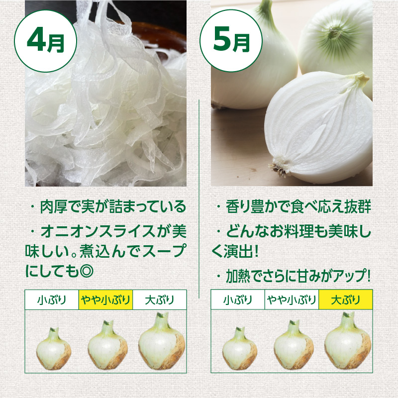 【福箱★2026】訳あり 新玉ねぎ 旬玉 8.5kg 生がおいしい神重農産のブランド玉ねぎ H105-169