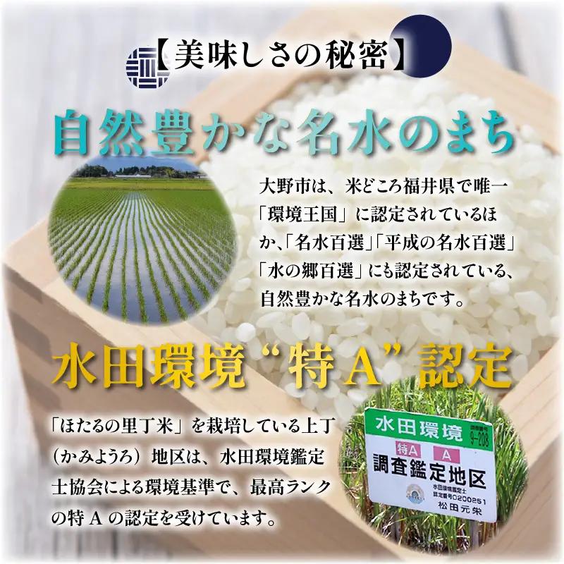 【新米予約受付中】令和8年産 特別栽培こしひかり 6kg 10回定期便【O-002001】