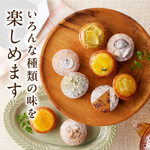 大切な方への贈り物やお土産にも喜ばられる一品！ タルトレット詰め合わせ9個入り タルト専門店 人気 タルトレット 9個 詰め合わせ 一口サイズ タルト ケーキ 焼き菓子 ドイツ菓子 誕生日 奈良県 生