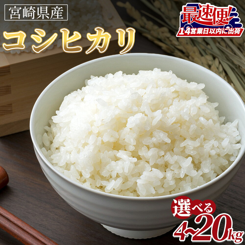 【ふるさと納税】【令和7年度産　宮崎県産コシヒカリ】【スピード配送】 ※入金確認後、14営業日以内に順次出荷 選べる 数量 国産 米 お米 最速便 白米 精米 こしひかり ごはん ご飯 白飯 4kg 5kg 7kg 10kg 15kg 20kg 食品 杉尾米店 宮崎県 国富町【常温】