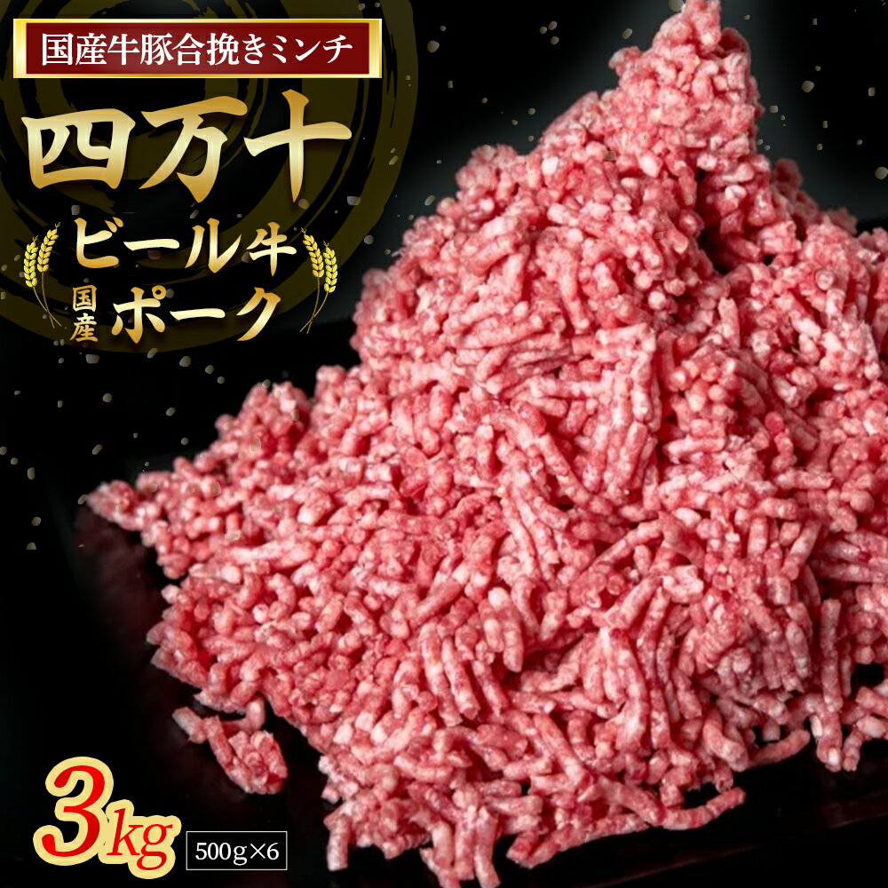 【ふるさと納税】【数量限定】国産の牛肉と豚肉をミンチした合挽肉 3kg（500g×6パック）Asz-Z45 国産 牛肉 豚肉 ミンチ 合挽肉 合いびき肉 冷凍 ハンバーグ 四万十ビール牛 四万十ポーク