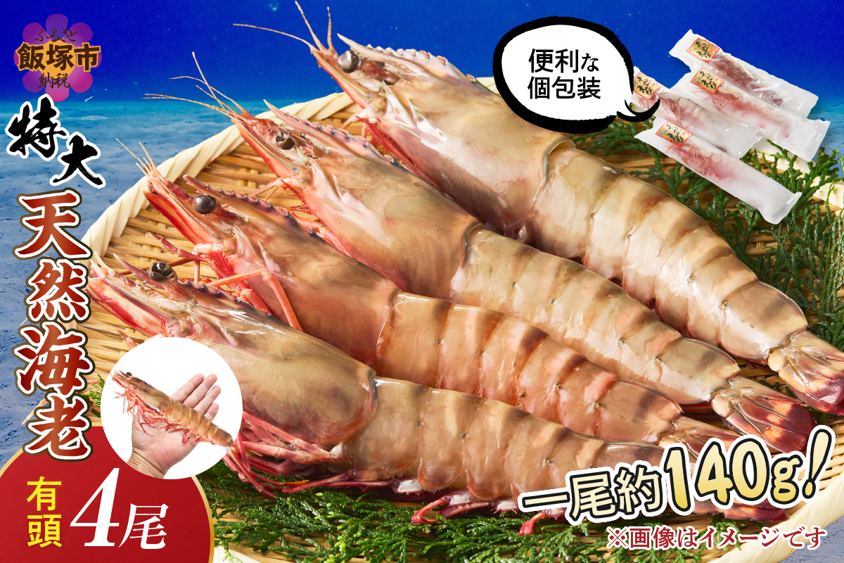 【C8-021】特大 天然海老(有頭･4尾)