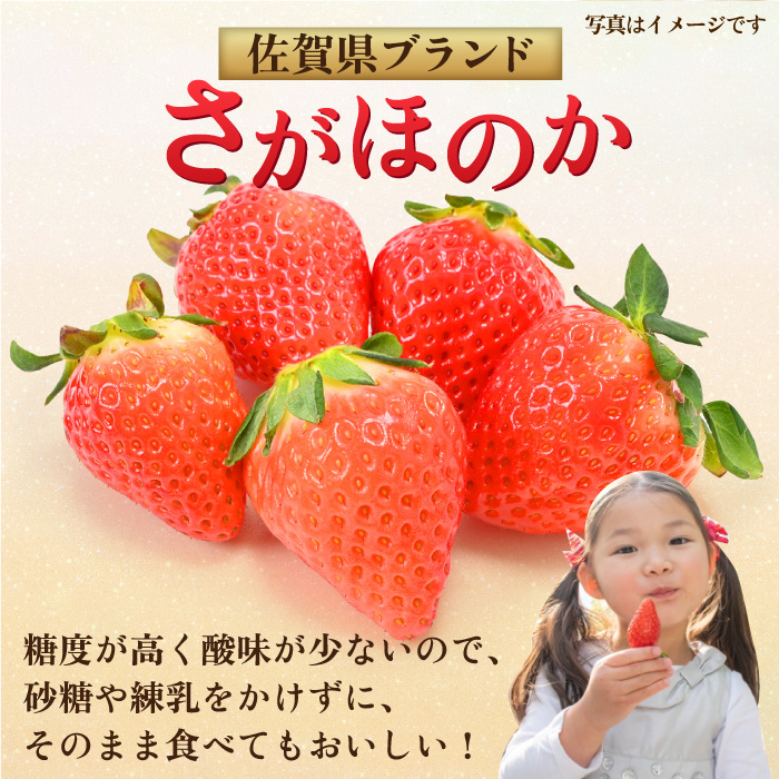 【1月中旬〜3月中旬発送】みずみずしい果肉！さがほのか平パック4P 約1kg いちご 佐賀県産 佐賀県 イチゴ パック 吉野ヶ里町/リエンサーク [FCC002]