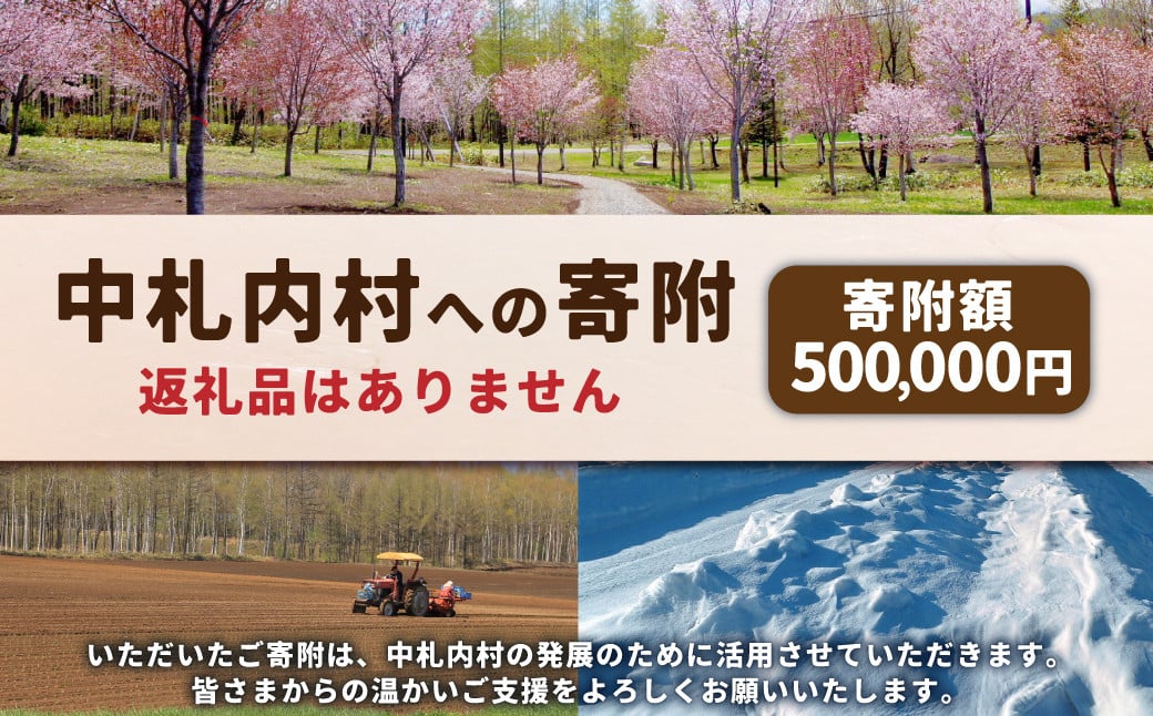 
            中札内村への寄附（返礼品はありません） 1口 500,000円 50万円 北海道 中札内村 寄附のみ 寄附 [038-0021]
          