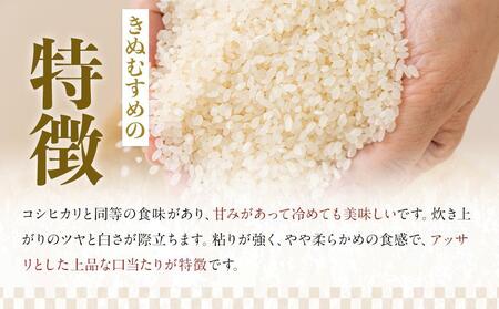 【 定期便 】令和7年産  上富田町産 金芽米 きぬむすめ 5kg × 3か月 井戸本農園