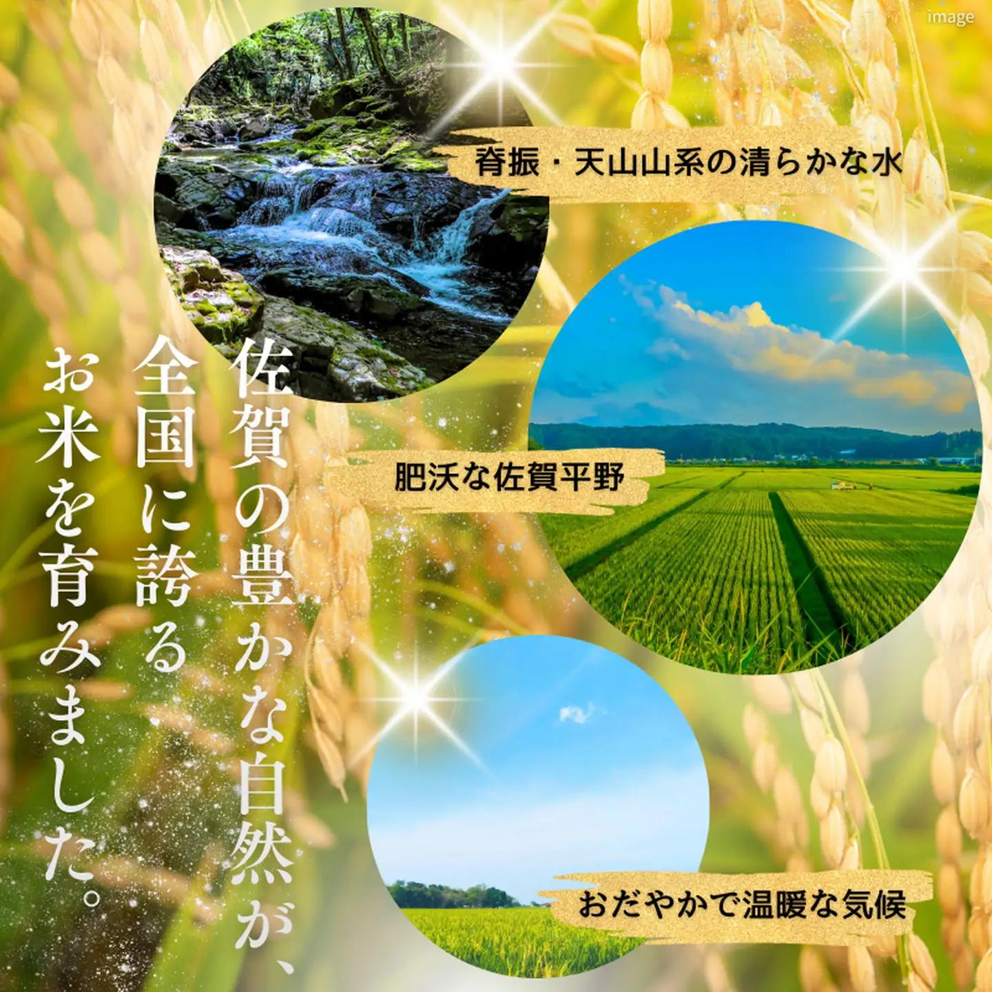 白米 R7年 佐賀県産 特A さがびより 白米5kg：B110-065