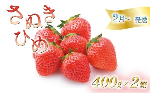 いちごのお姫様 さぬきひめ 2月から順次発送 選べる容量 約800g (400g×2箱) 苺 いちご 果物 フルーツ 果物 ブランド さぬき姫 ジューシー 果汁 甘い 季節 デザート スイーツ ふるさと納税いちご ふるさと納税フルーツ 国産 香川県 丸亀市