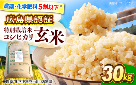 【先行予約】【9月中旬から順次発送】 新米 玄米 30kg 大容量  [APCH009] 玄米 玄米 玄米 玄米 玄米