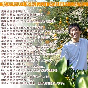 旬をお届け！季節の柑橘詰め合わせ（愛媛県西予市明浜産）【２回に分けて配送】