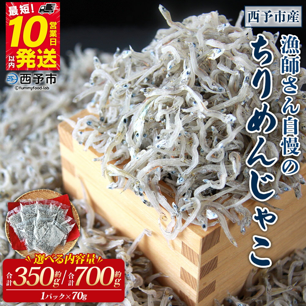 【ふるさと納税】＜漁師さん自慢のちりめんじゃこ 合計350g/700g（1パック70g入り）＞ しらす シラス おじゃこ 魚 さかな 小魚 魚介類 乾燥 海の幸 海鮮 小分け 個包装 おすそ分け 国産 産地直送 送料無料 特産品 濱田水産 愛媛県 西予市【冷蔵】『最短10営業日以内に発送』
