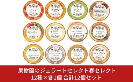 [春期限定]果樹園のジェラートセレクト春セレクト2 [12種×各1個] 合計12個セット ジェラート詰合せ アイス詰合せ ジェラートセット アイスセット 濃厚ジェラート  [田沢農園] 【019S043】