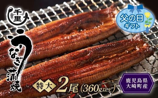 【父の日】鹿児島県産うなぎ　特大蒲焼き2尾　360g以上