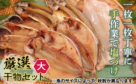 
【手塩づけ】厳選干物セット（大） ／ 魚 ひもの 加工品 手塩づくり 千葉県 特産 鋸南町 提灯屋干物店 F22X-012
