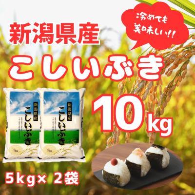 ふるさと納税 阿賀野市 【令和7年産】新潟産 こしいぶき 10kg(5kg×2袋) 白米 精米