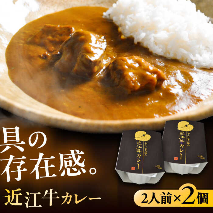 【ふるさと納税】-あふひ 贅の極み- 近江牛カレー レトルト 2人前×2個セット レトルト カレー 牛肉 和牛 ブランド牛 高級用 人気 おすすめ 簡単 調理 長期保存 カレー カレーライス レトルトカレー ビーフカレー 保存食 恵那市 / テンポイント[AUEU017]