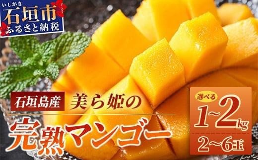 
            ＜選べる内容量＞美ら姫マンゴー1kg~2kg（完熟・アーウィン種）≪2026年7月中旬～順次発送≫ CB-1/CB-2
          