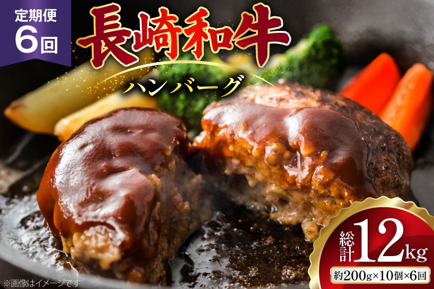 AJ590 【6回定期便】長崎和牛 ハンバーグ 約2kg (200g×10個) [ 肉 牛肉 和牛 おいしい ひき肉 焼くだけ おかず まるしん商会 黒牛 長崎県 島原市 ]