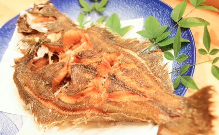 箱入り 宗麟 ひらめ 1尾 | ひらめ  津久見市