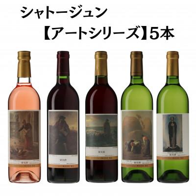 ふるさと納税 甲州市 シャトージュン【アートシリーズ】5本