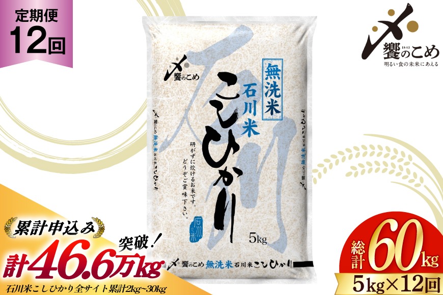 米 定期便 無洗米 石川米 こしひかり 5kg 12回 計 60kg [中橋商事 石川県 宝達志水町 38601338] コシヒカリ お米 こめ おこめ ごはん ご飯 12ヶ月 １２ヶ月 12か月 １２か月 5キロ ５キロ 60キロ ６０キロ 白米 精米